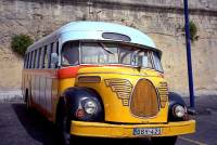 Bus maltese 2